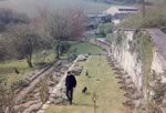 1967 rose terrace. View from the house where the medieval cottages and then the 1890 greenhouse once stood.