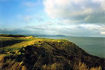 Cahore Point (without lions!) on my 50th. birthday, January 14 1994.