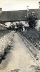 ...And down the path with border of pinks which were sold in bunches.