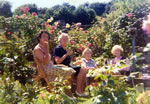 NELLY (Evry) & ROSE (Godwin) my Mother's 2 STALWARTS in the Tea Gardens 1937-1950 in middle with Gladys on right & Garden Cottage IRIS on left. (lived to be 101 & 94 respectively!)