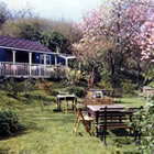 Spring setting for tea 1975.