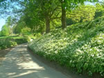 A series of photos of St. Catherine's Court and the nearby valley by Ernie Everest.