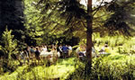 Teas on main lawn 1989 where pavilion had stood 1923-47.